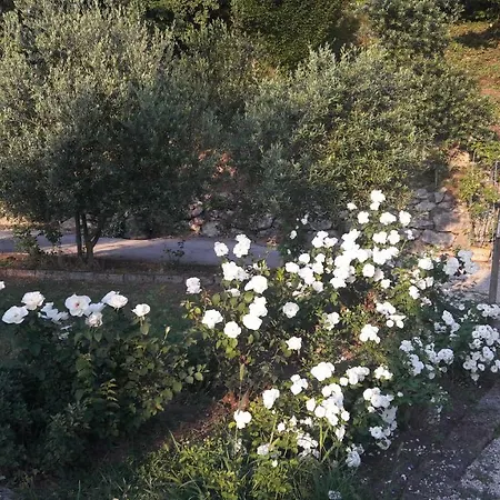 Semesterbostad Maison La Luna E Il Leone Altavilla Vicentina